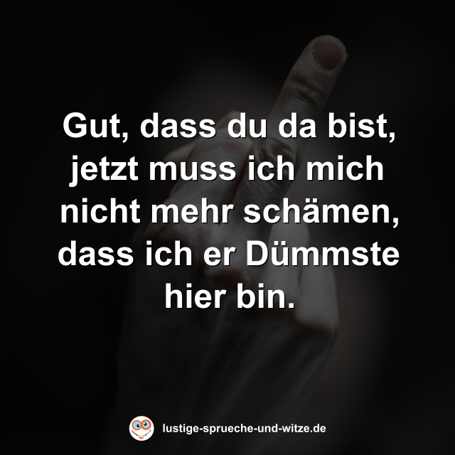 Gut, dass du da bist, jetzt muss ich mich nicht mehr sch&auml;men, dass ich er D&uuml;mmste hier bin.