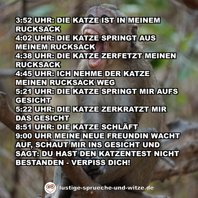 3:52 Uhr: Die Katze ist in meinem Rucksack 4:02 Uhr: Die Katze springt aus meinem Rucksack 4:38 Uhr: Die Katze zerfetzt meinen Rucksack 4:45 Uhr: Ich nehme der Katze meinen Rucksack weg 5:21 Uhr: Die Katze springt mir aufs Gesicht 5:22 Uhr: Die Katze zerkratzt mir das Gesicht 8:51 Uhr: Die Katze schl&auml;ft 9:00 Uhr Meine neue Freundin wacht auf, schaut mir ins Gesicht und sagt: Du hast den Katzentest nicht bestanden - verpiss dich!