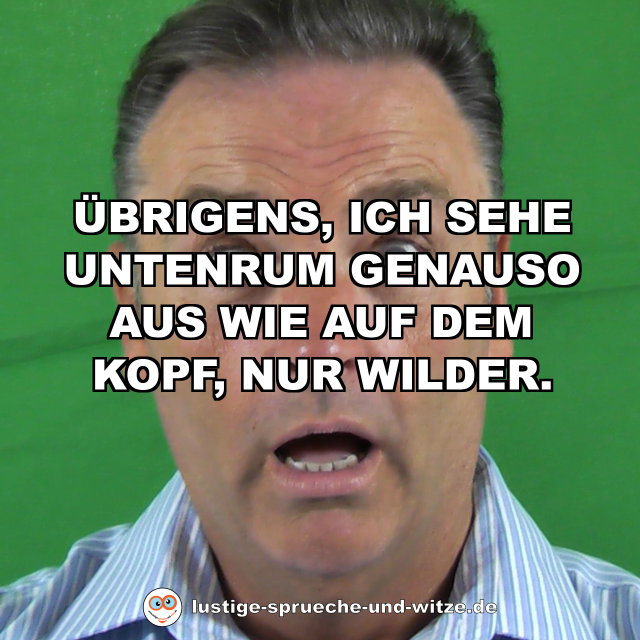 &Uuml;brigens, ich sehe untenrum genauso aus wie auf dem Kopf, nur wilder.