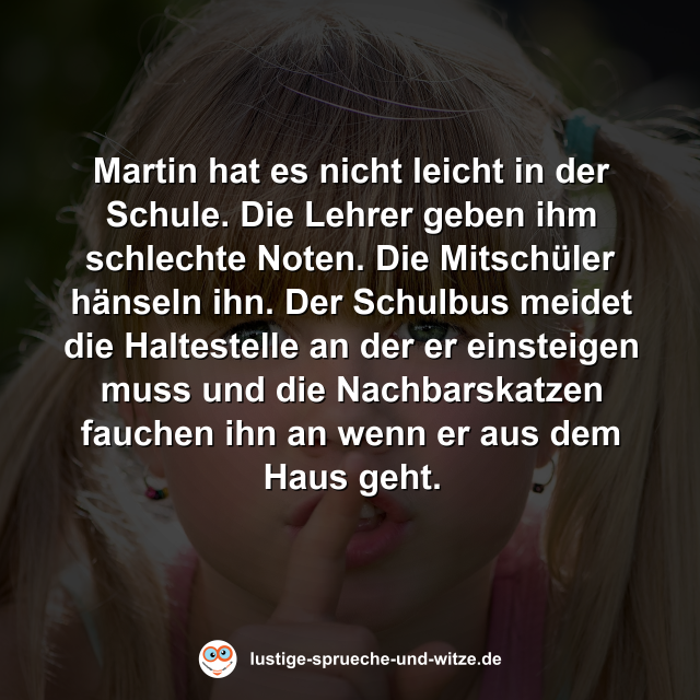 Martin hat es nicht leicht in der Schule. Die Lehrer geben ihm schlechte Noten. Die Mitsch&uuml;ler h&auml;nseln ihn. Der Schulbus meidet die Haltestelle an der er einsteigen muss und die Nachbarskatzen fauchen ihn an wenn er aus dem Haus geht.