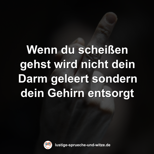 Wenn du schei&szlig;en gehst wird nicht dein Darm geleert sondern dein Gehirn entsorgt