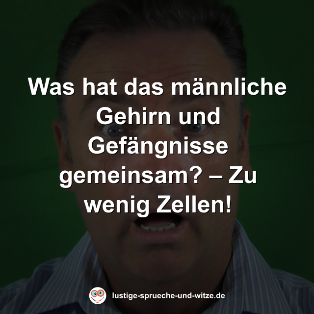 Was hat das m&auml;nnliche Gehirn und Gef&auml;ngnisse gemeinsam? &ndash; Zu wenig Zellen!