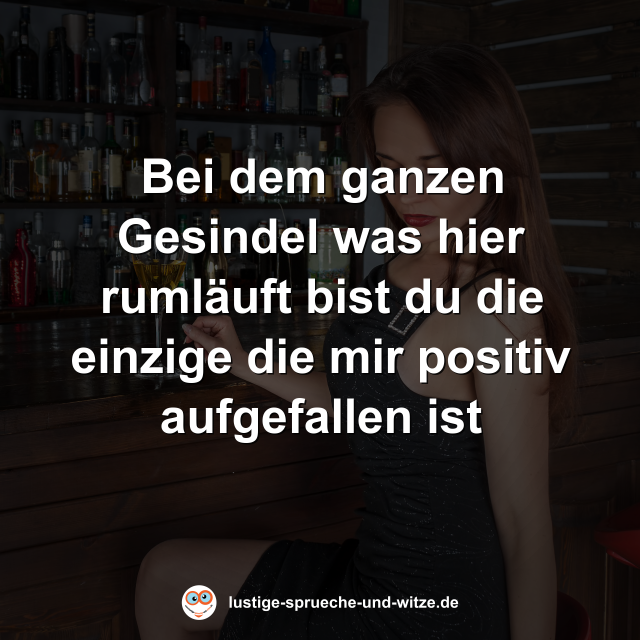 Bei dem ganzen Gesindel was hier ruml&auml;uft bist du die einzige die mir positiv aufgefallen ist