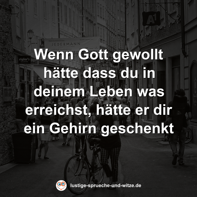 Wenn Gott gewollt h&auml;tte dass du in deinem Leben was erreichst, h&auml;tte er dir ein Gehirn geschenkt