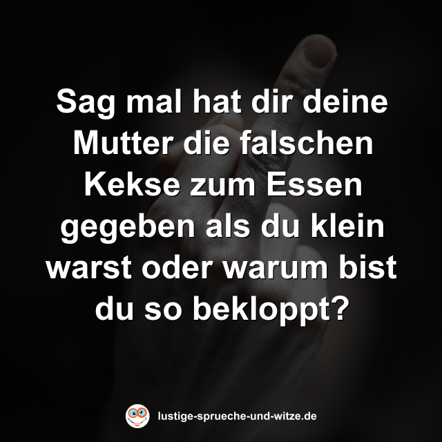 Sag mal hat dir deine Mutter die falschen Kekse zum Essen gegeben als du klein warst oder warum bist du so bekloppt?