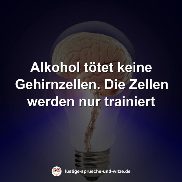 Alkohol t&ouml;tet keine Gehirnzellen. Die Zellen werden nur trainiert