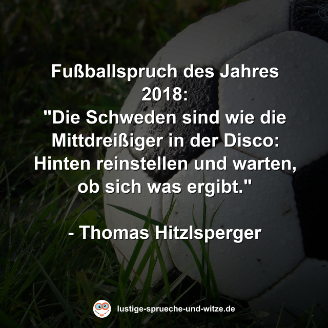 Fu&szlig;ballspruch des Jahres 2018: "Die Schweden sind wie die Mittdrei&szlig;iger in der Disco: Hinten reinstellen und warten, ob sich was ergibt."  - Thomas Hitzlsperger