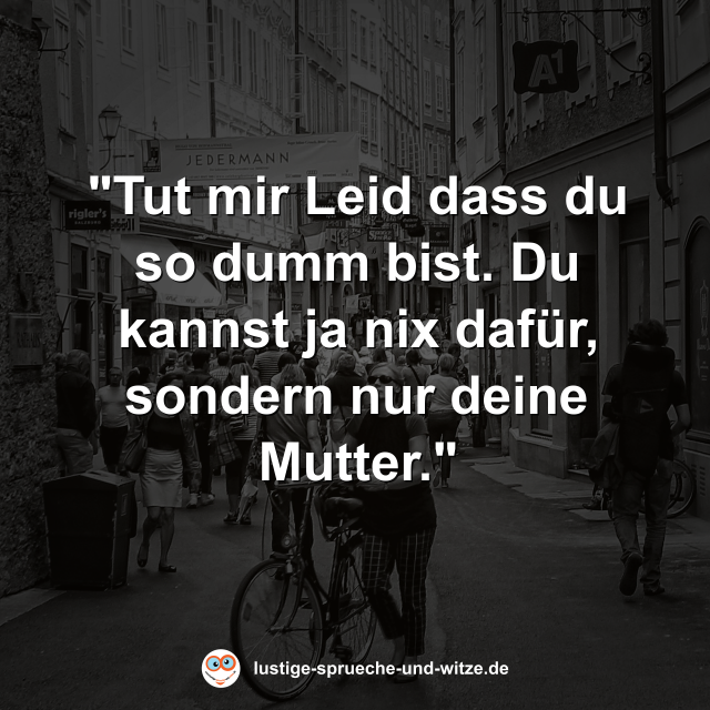 "Tut mir Leid dass du so dumm bist. Du kannst ja nix daf&uuml;r, sondern nur deine Mutter."