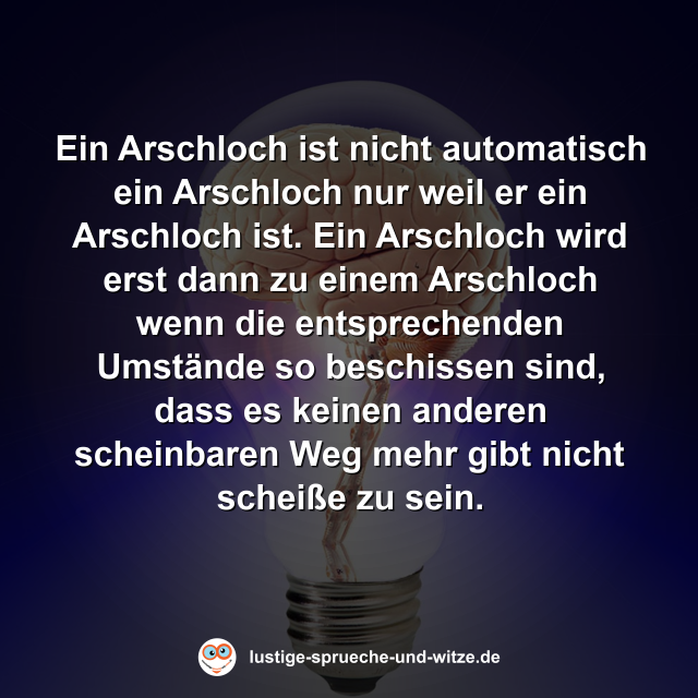 Ein Arschloch ist nicht automatisch ein Arschloch nur weil er ein Arschloch ist. Ein Arschloch wird erst dann zu einem Arschloch wenn die entsprechenden Umst&auml;nde so beschissen sind, dass es keinen anderen scheinbaren Weg mehr gibt nicht schei&szlig;e zu sein.