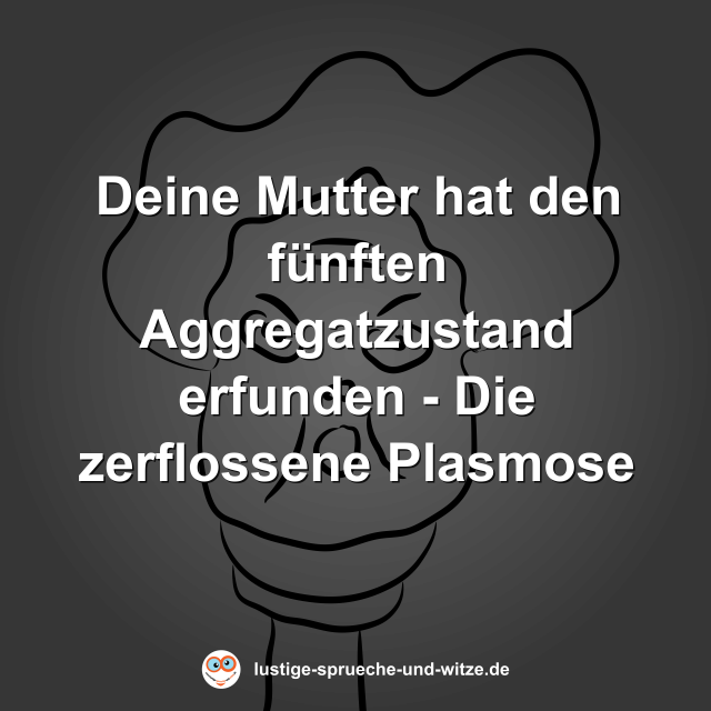 Deine Mutter hat den f&uuml;nften Aggregatzustand erfunden - Die zerflossene Plasmose
