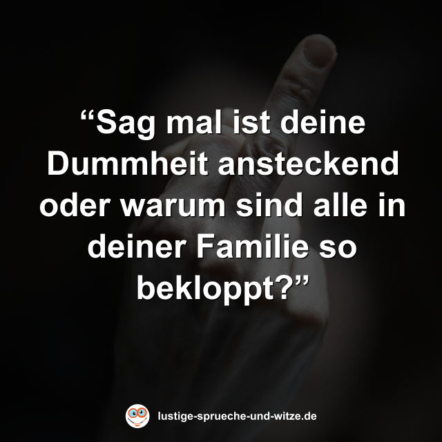 &ldquo;Sag mal ist deine Dummheit ansteckend oder warum sind alle in deiner Familie so bekloppt?&rdquo;