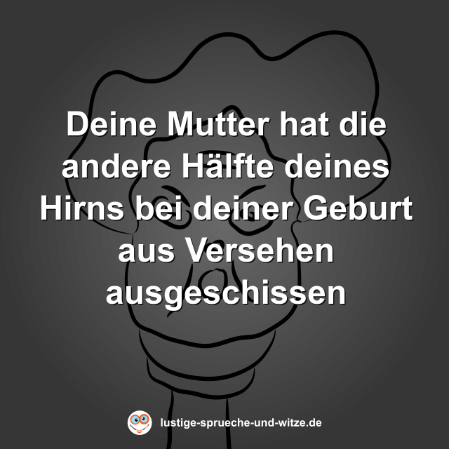 Deine Mutter hat die andere H&auml;lfte deines Hirns bei deiner Geburt aus Versehen ausgeschissen