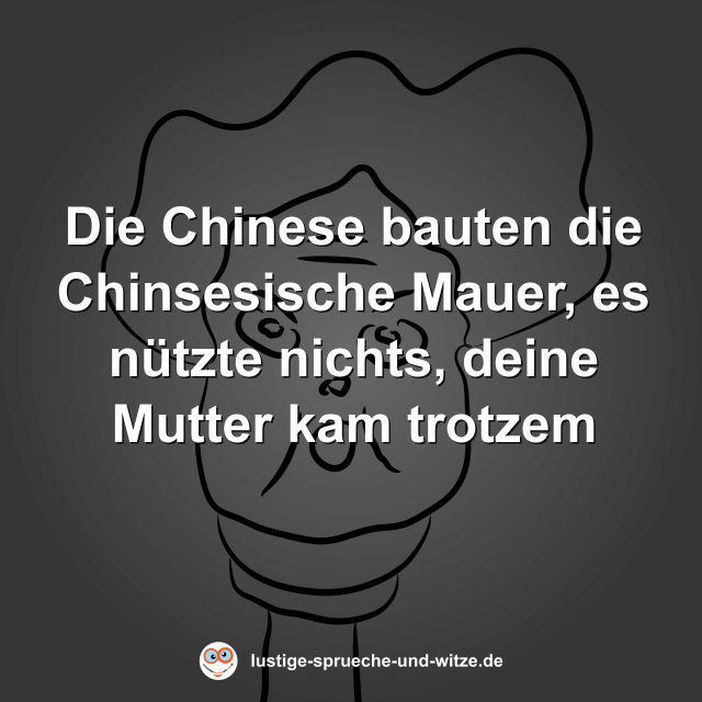 Die Chinese bauten die Chinsesische Mauer, es n&uuml;tzte nichts, deine Mutter kam trotzem