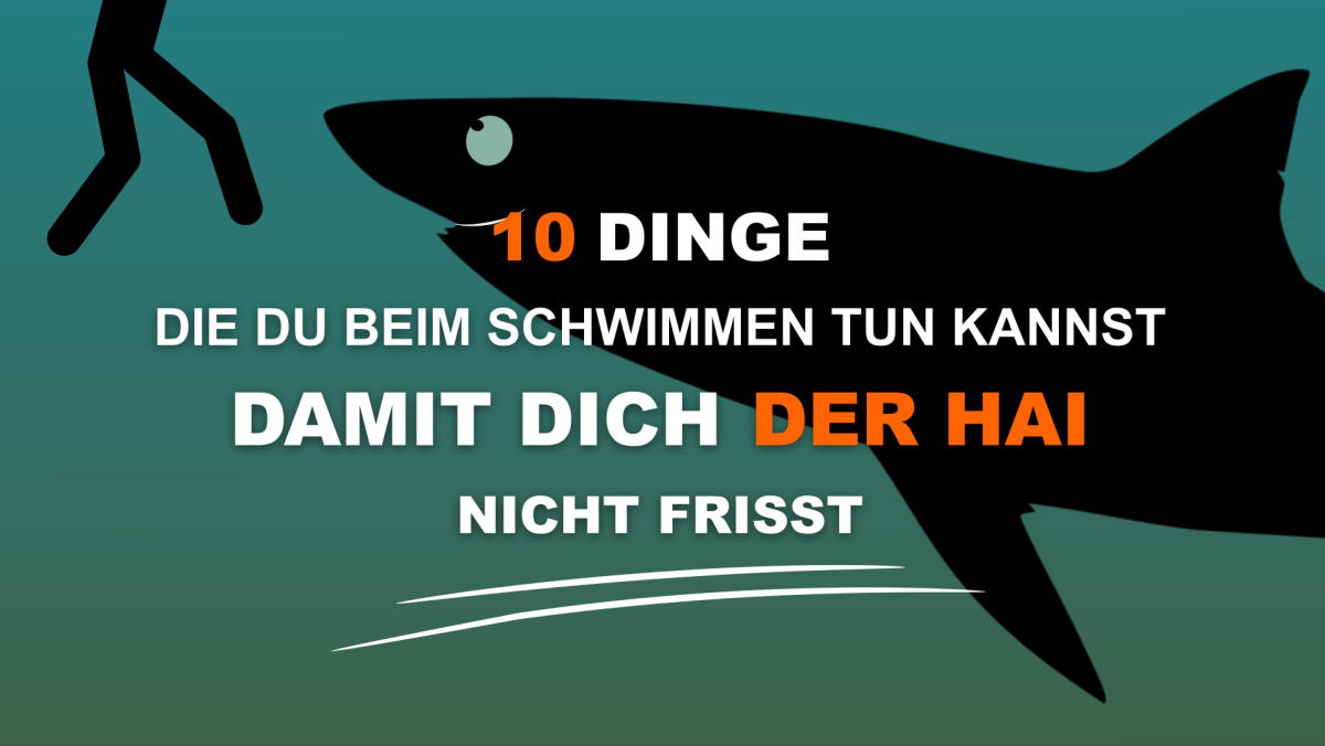12 Dinge die du beim Schwimmen tun kannst damit dich der Hai nicht frisst